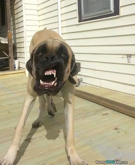 Argghhh