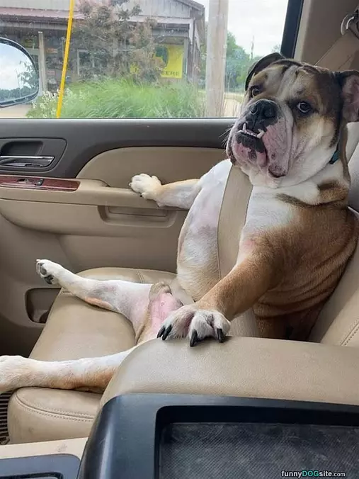Out For A Ride