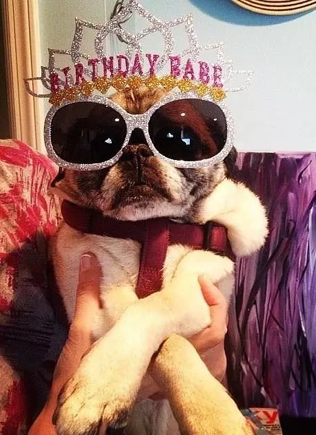 Birthday Babe