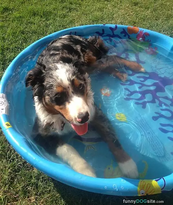 Chilling In My Pool