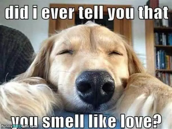 Did I Ever Tell You