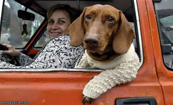 Like My Sweater
