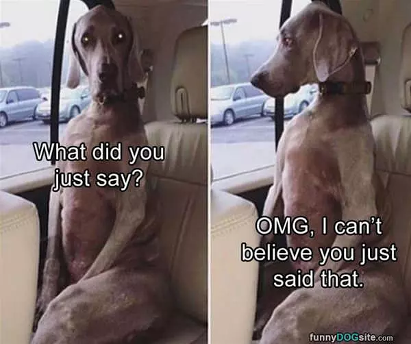 Cannot Believe You Said That
