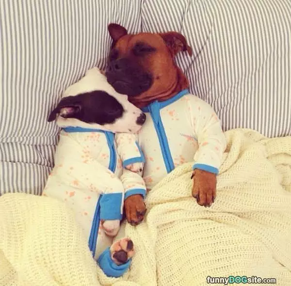 All Tucked In Together