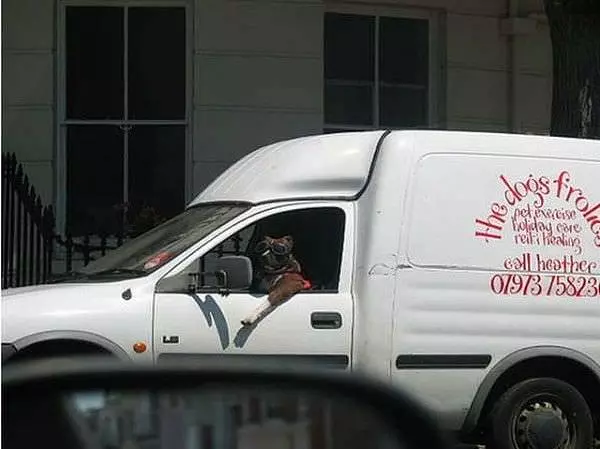 Im The Driver