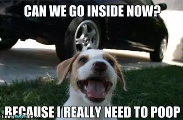 Can We Please Go Inside Now