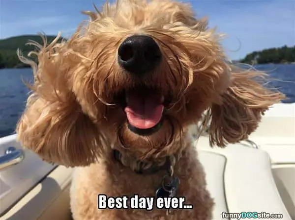 Best Day Ever