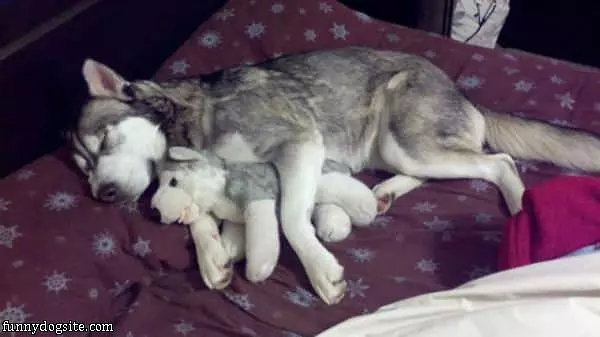 Me With The Stuffed Dog