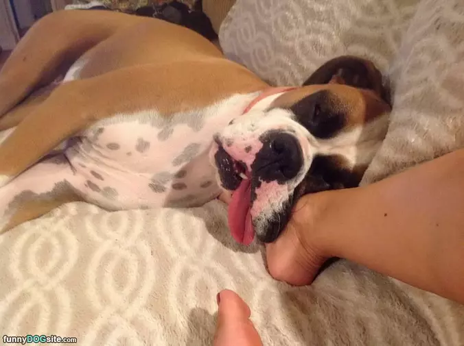 My Pillow Time