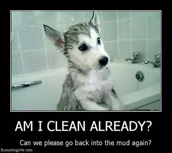 Am I Clean Already