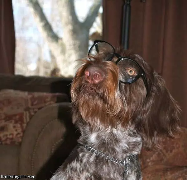 My New Glasses