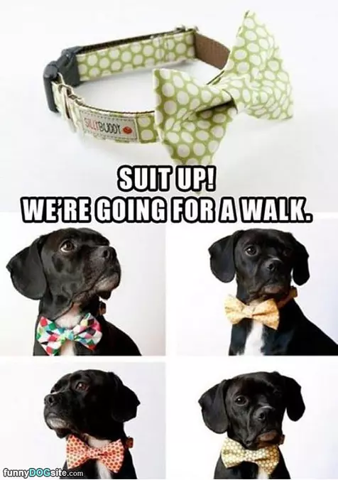 Suit Up