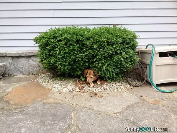 My Hiding Spot