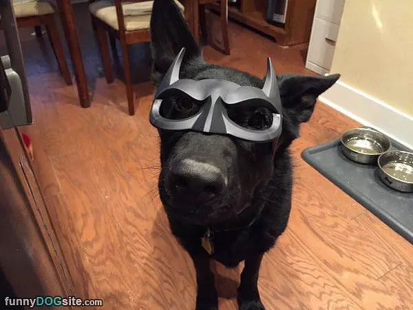 I Got A Mask