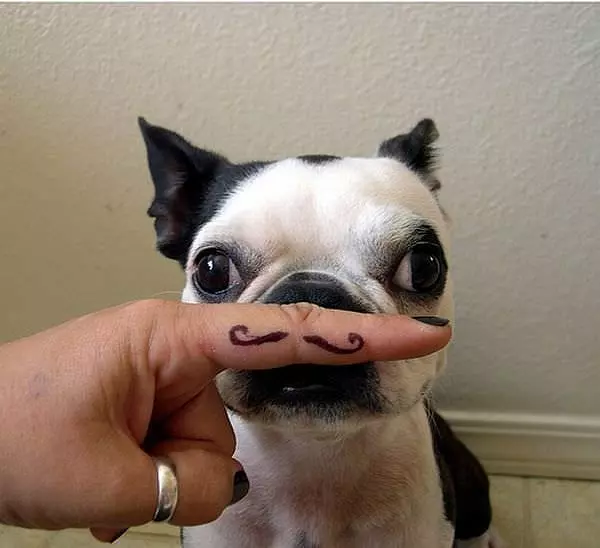 Nice Mustache