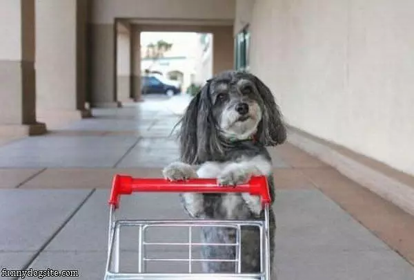 Time For Shopping