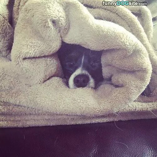 So Warm Here