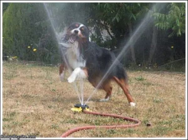 My Enemy Is Water