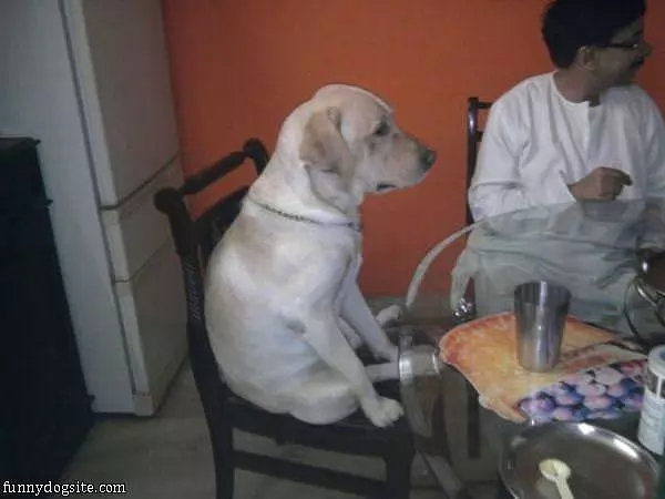 I Am Ready To Eat
