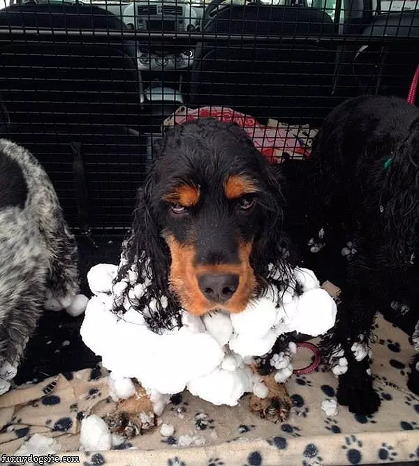 Snowball