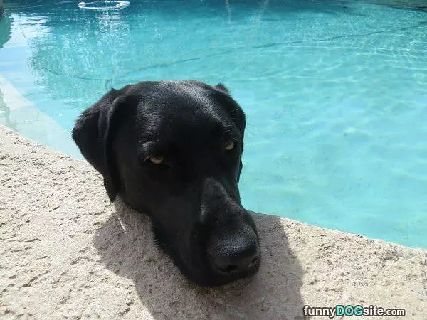 Well What Do You Want