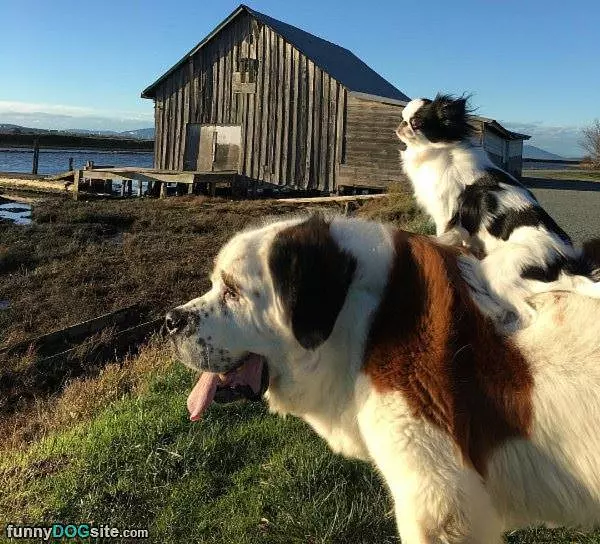Onward