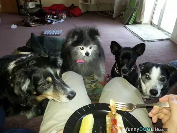 Are You Going To Share