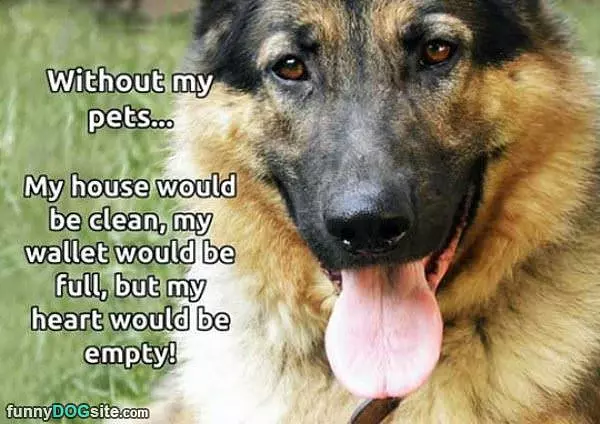 Without Pets