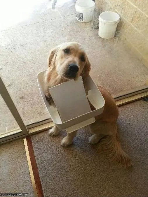 Caught Red Handed