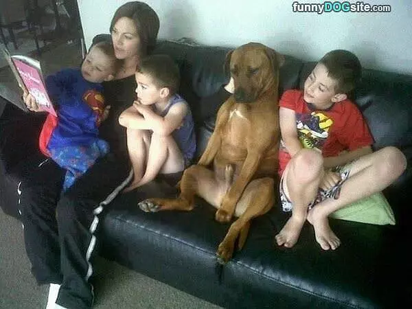 Chillin With The Fam