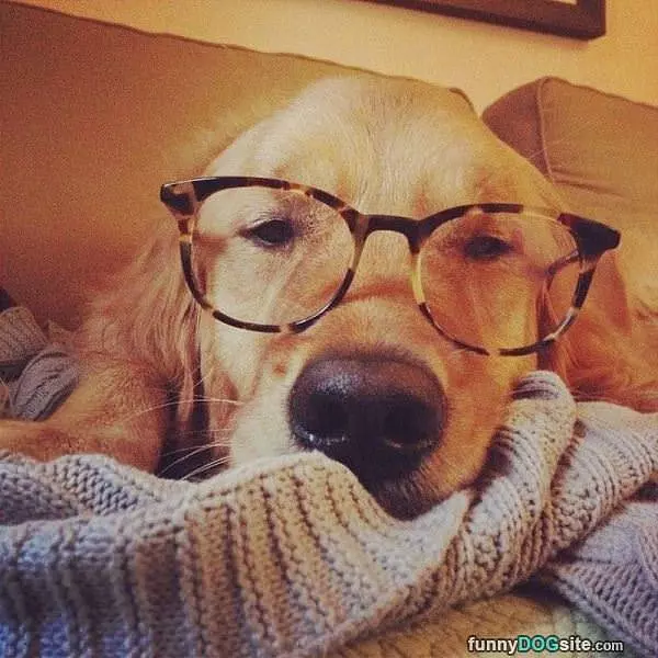 Too Tired To Study