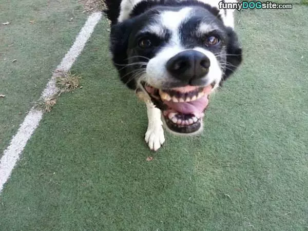 Smile Big For The Camera