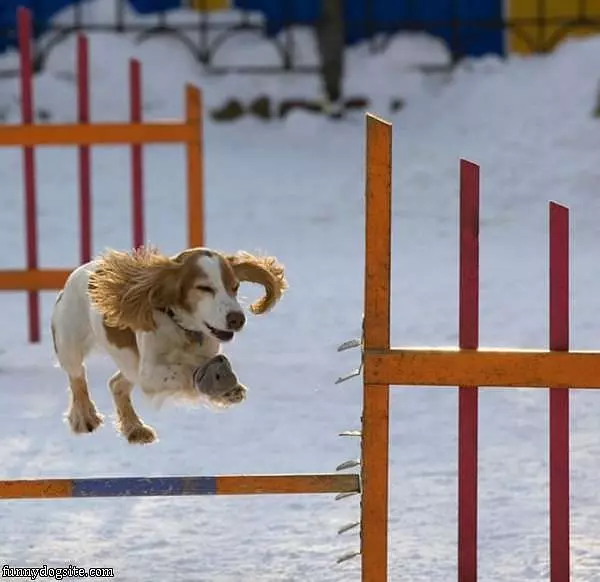 Running And Jumping