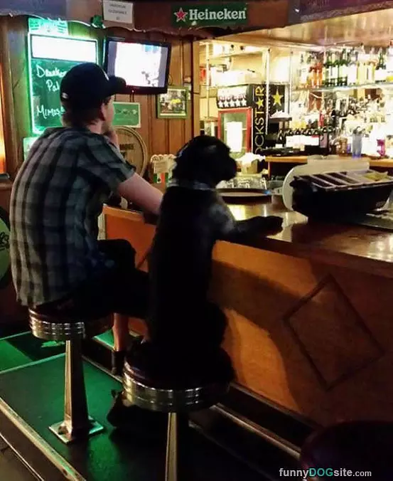 Get Us Another Beer