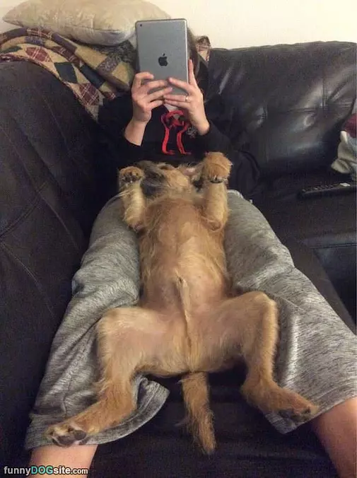 This Is How I Sleep