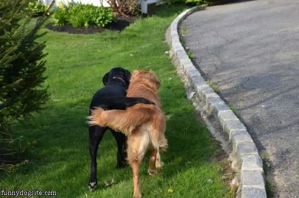 Friends Forever