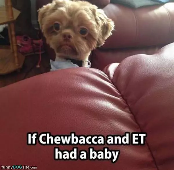 Chewbacca And Et