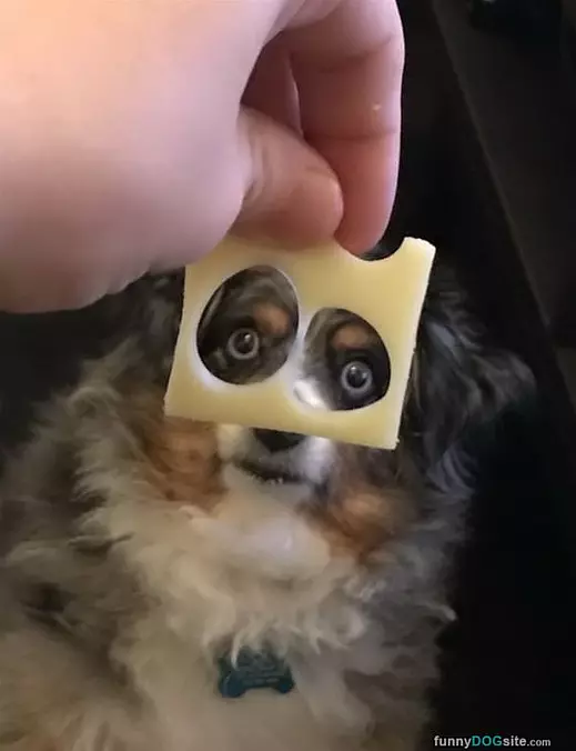Huh