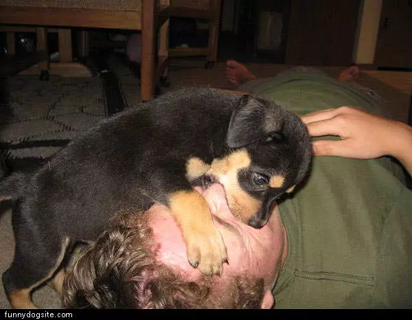 Cpr