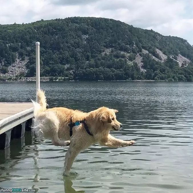 Jump For It