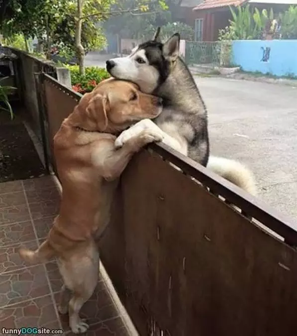 Hug It Out