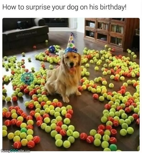 A Surprise