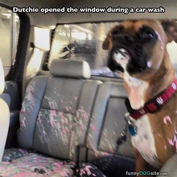 Dutchie