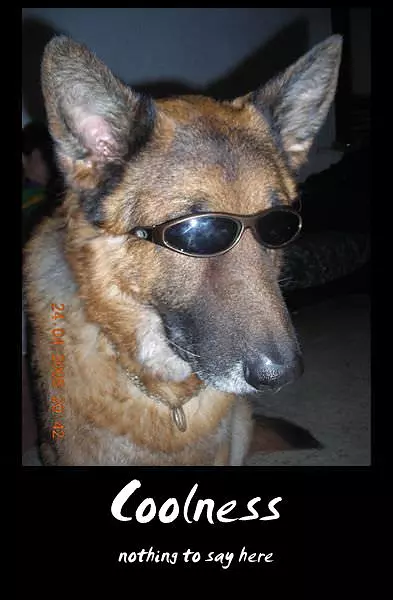 C-coolness
