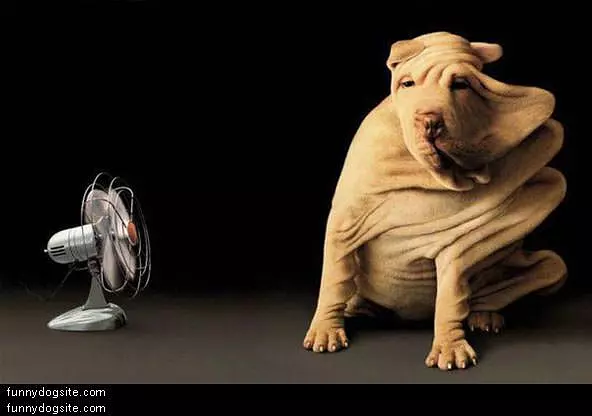 Air Wrinkles