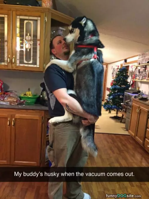Scared Of The Vacuum