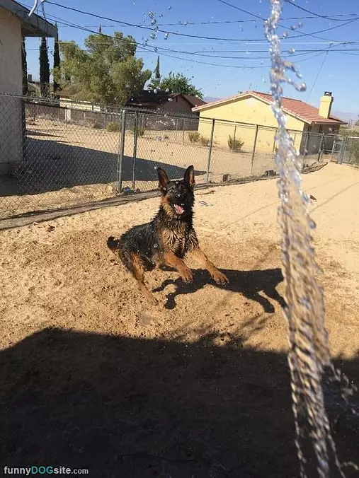So Fun To Play