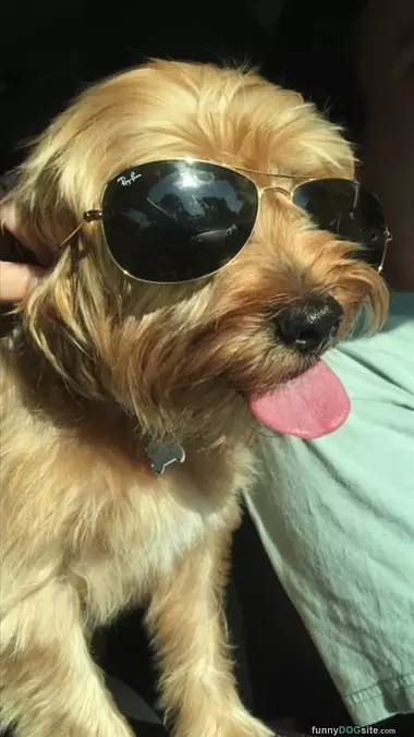 Looking Chill