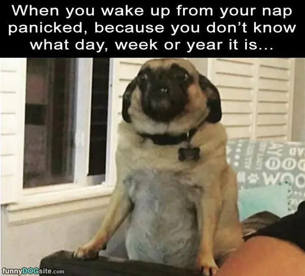 What Day Is This