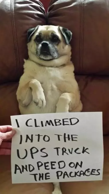 It Was Me